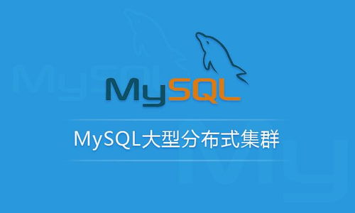 MySQL性能管理與架構設計 從SQL優化到分庫分表的完整策略