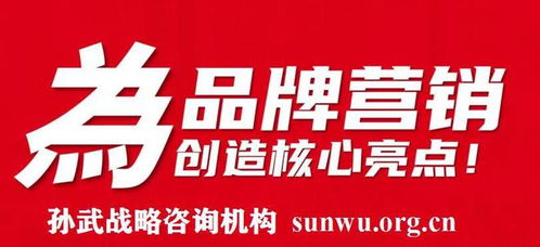 品牌智勝之道 當(dāng)專(zhuān)業(yè)策劃攜手孫武戰(zhàn)略，以500強(qiáng)定位案例鑄就市場(chǎng)輝煌